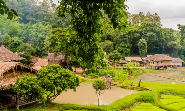 Northern Thailand: Hilltribes & Villages