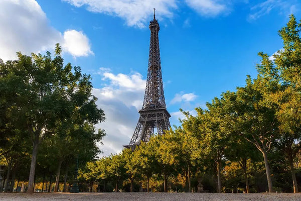 Paris Escorted Day Trip