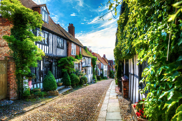The George in Rye