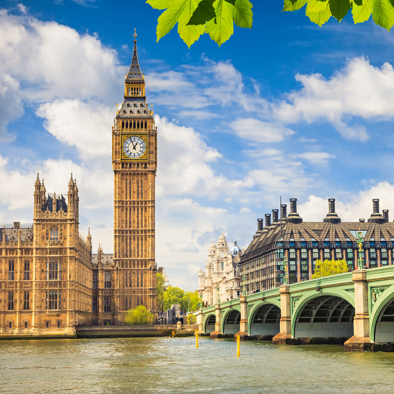 Regular Membership Subscription