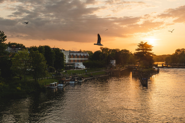 The Runnymede on Thames